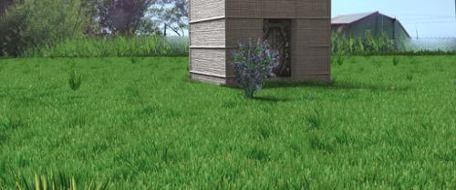 Fast rendered realistic grass in Blender internal preview image